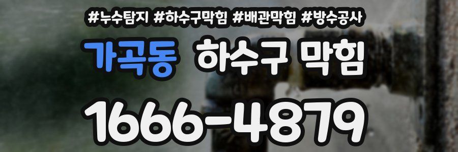 가곡동 하수구 막힘