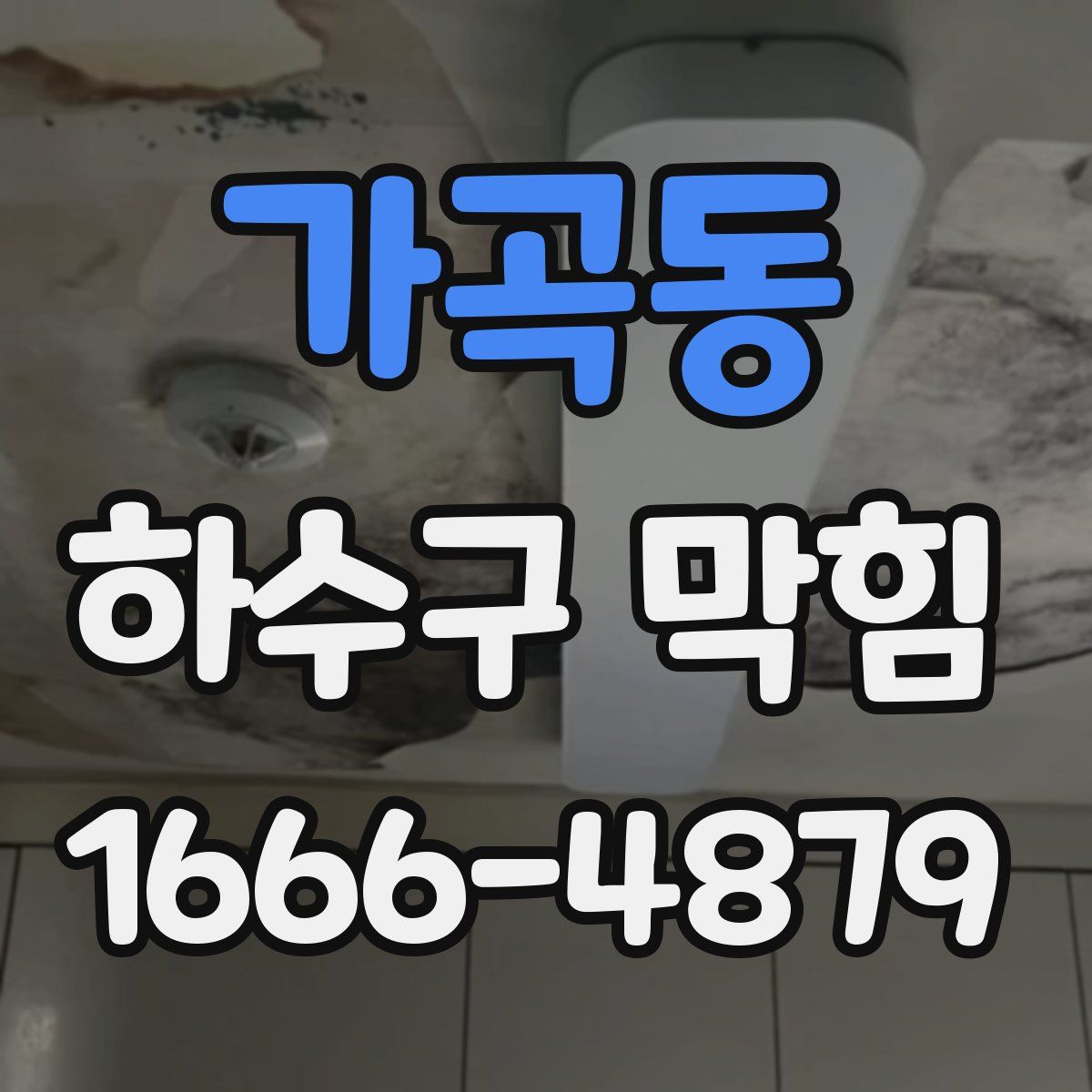 가곡동 하수구 막힘