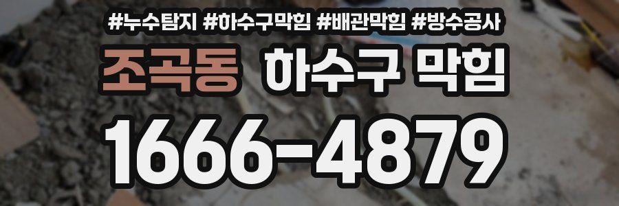 조곡동 하수구 막힘
