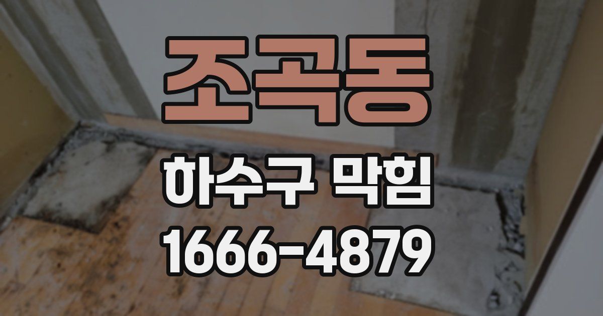 조곡동 하수구 막힘