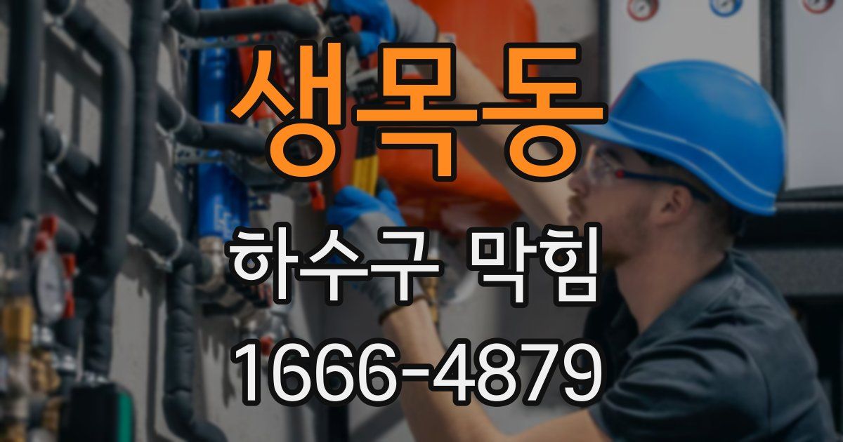 생목동 하수구 막힘