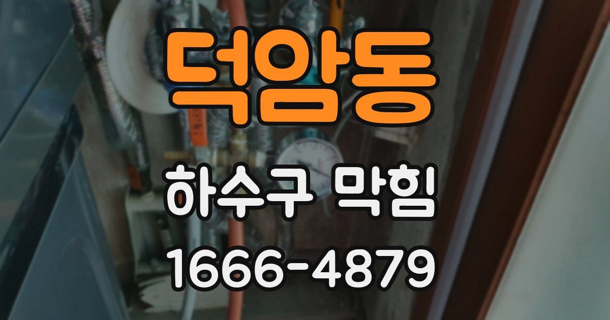 덕암동 하수구 막힘