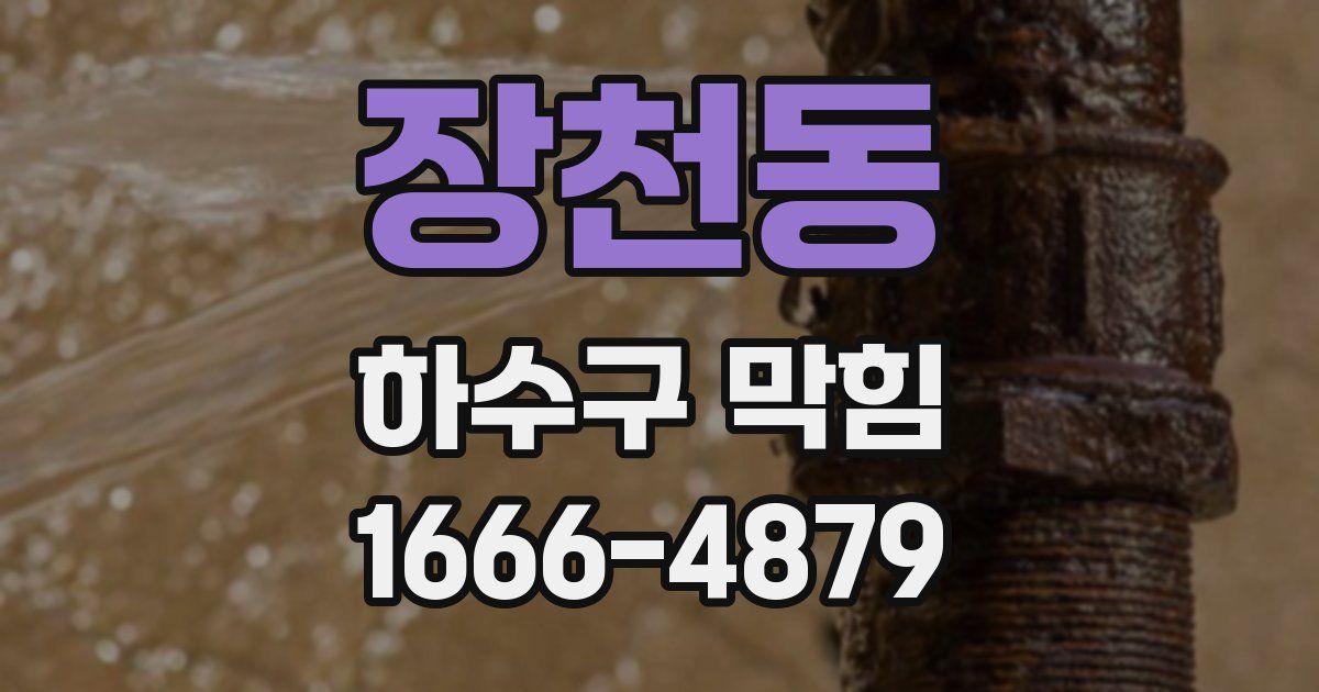장천동 하수구 막힘