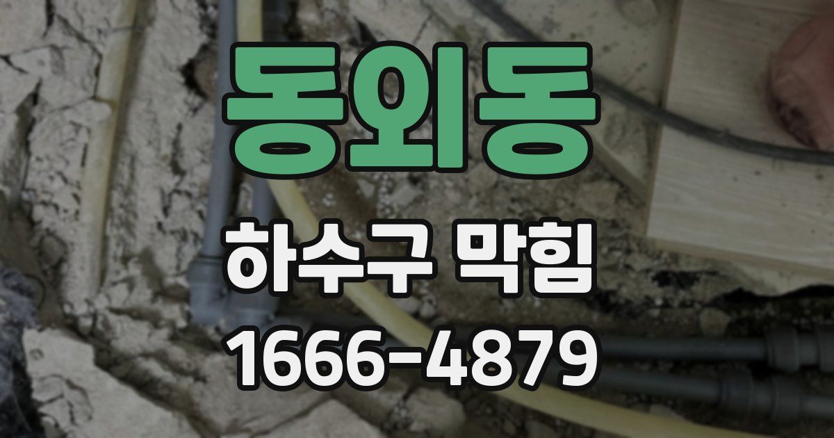 동외동 하수구 막힘