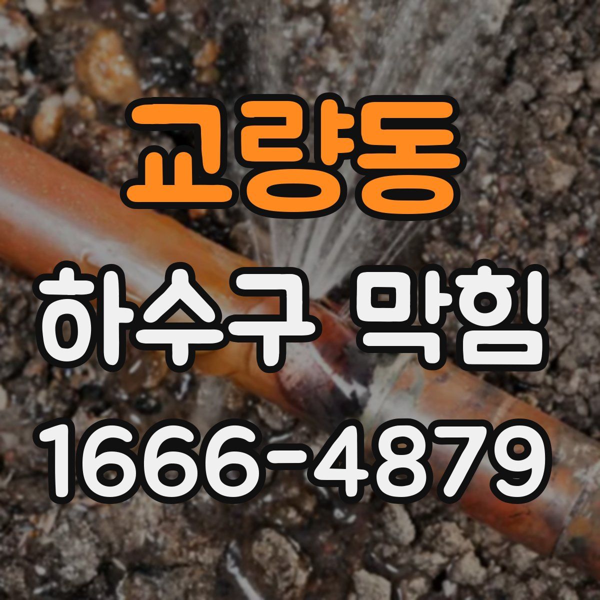 교량동 하수구 막힘