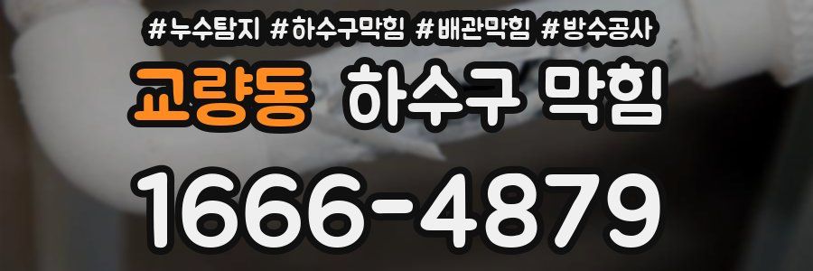 교량동 하수구 막힘