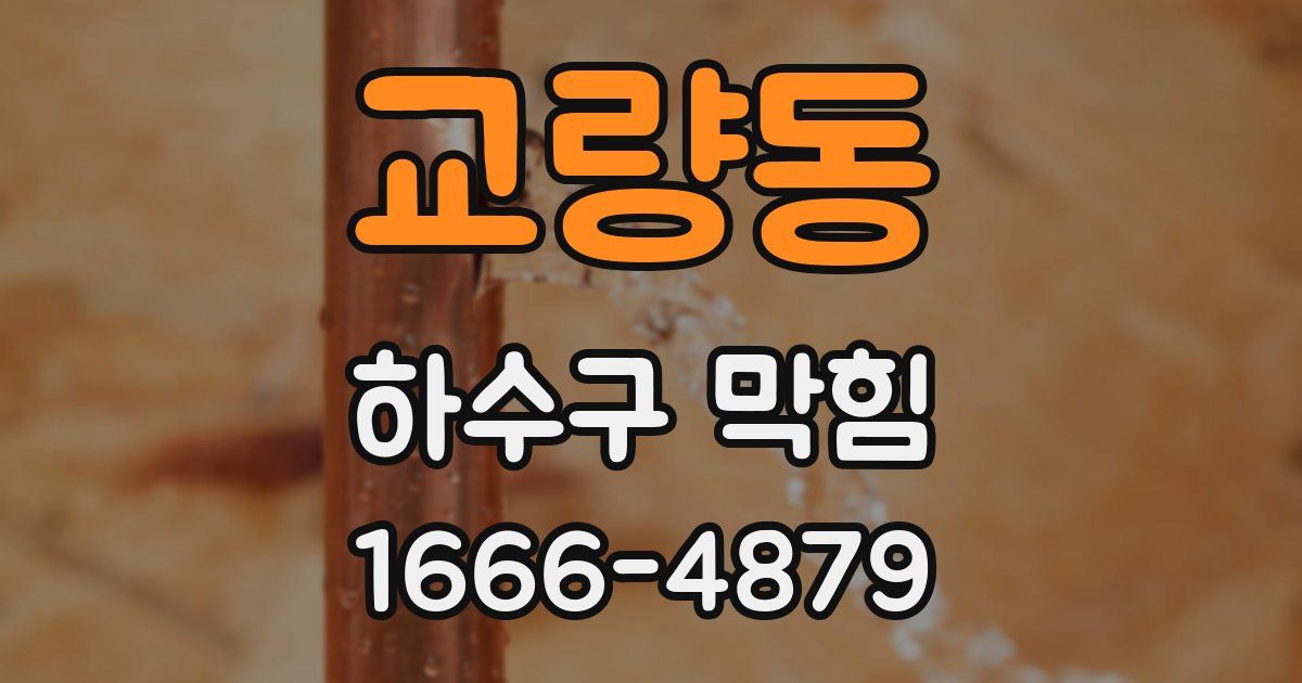 교량동 하수구 막힘