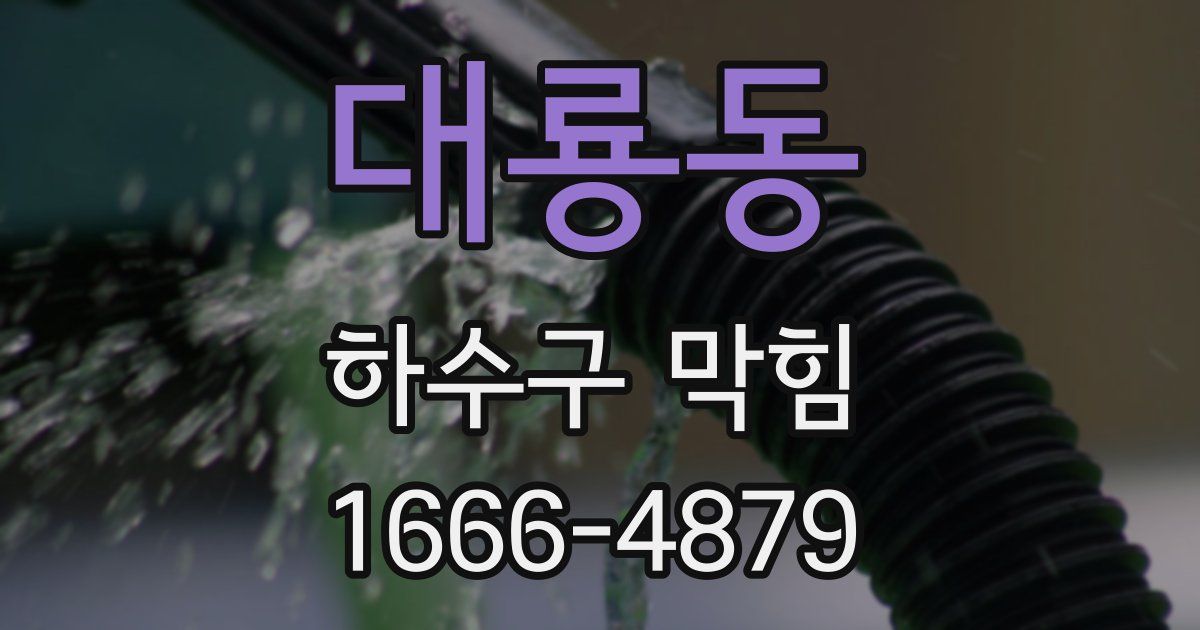 대룡동 하수구 막힘
