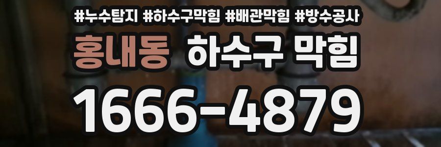 홍내동 하수구 막힘