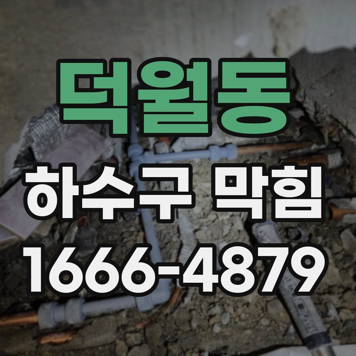 덕월동 하수구 막힘