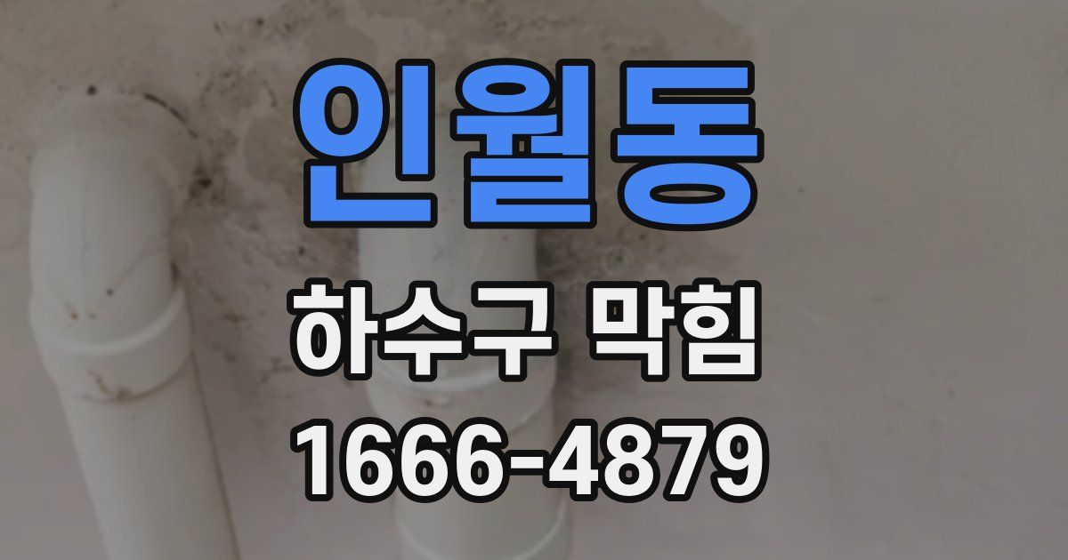 인월동 하수구 막힘