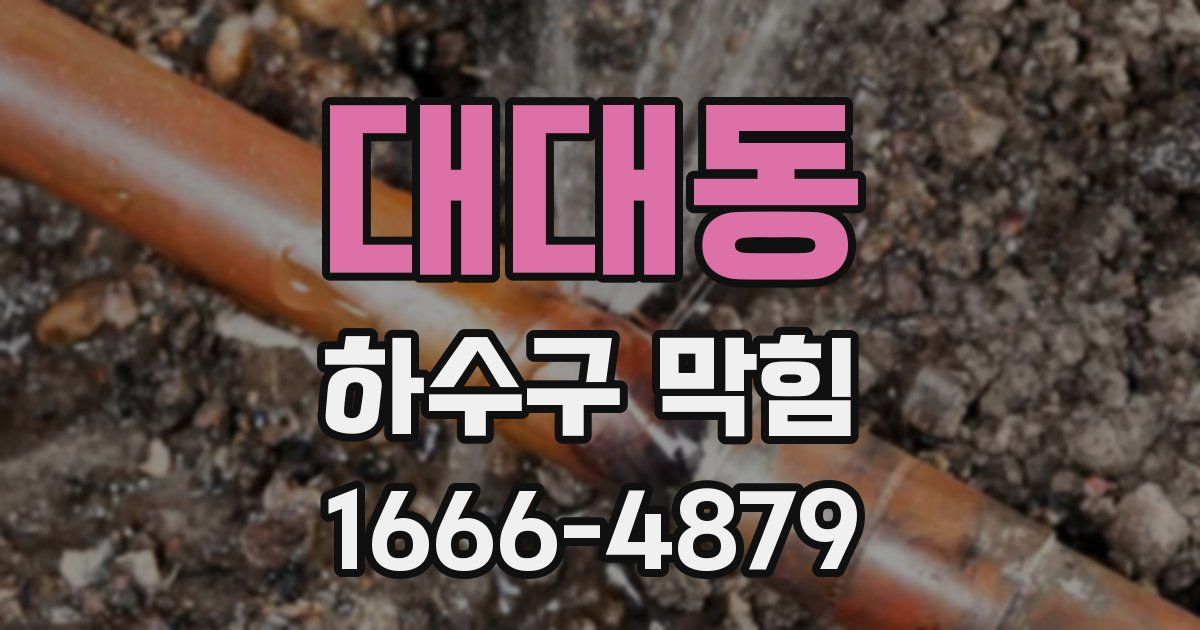 대대동 하수구 막힘