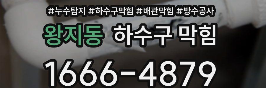 왕지동 하수구 막힘