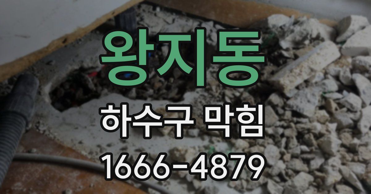 왕지동 하수구 막힘