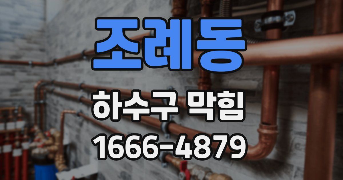 조례동 하수구 막힘