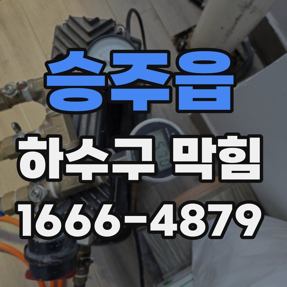 승주읍 하수구 막힘