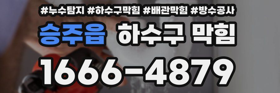 승주읍 하수구 막힘