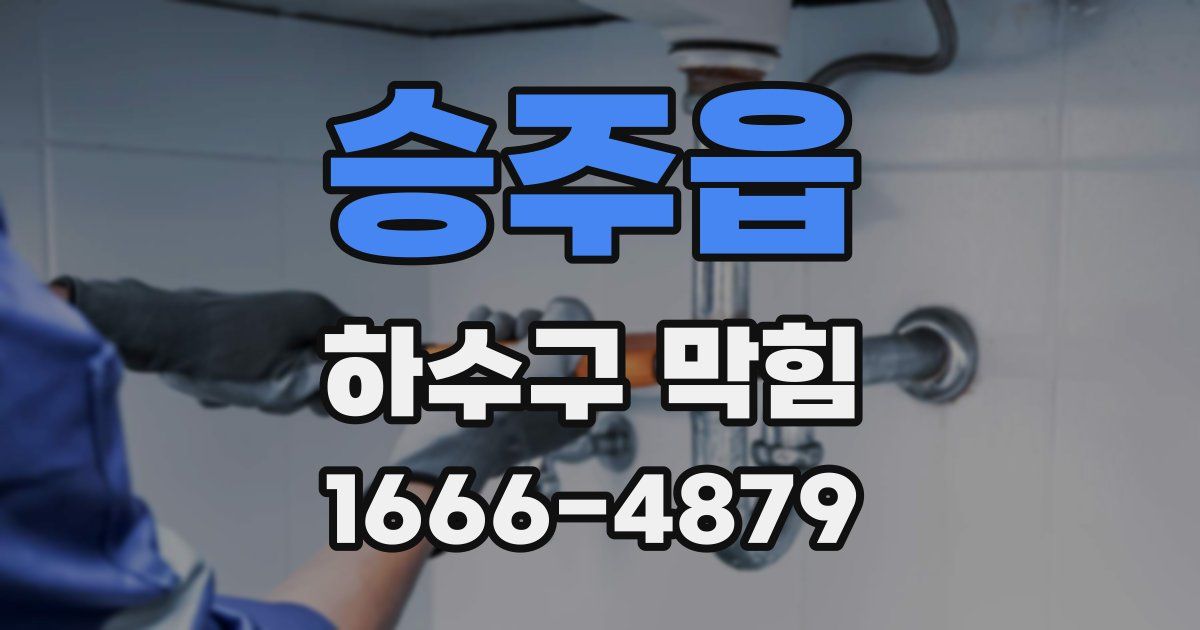 승주읍 하수구 막힘