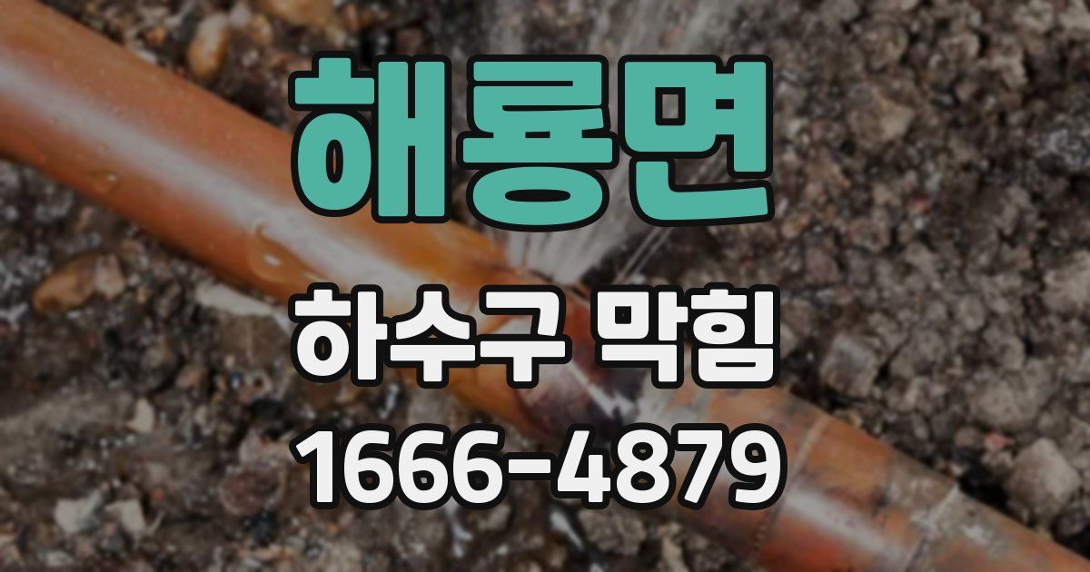 해룡면 하수구 막힘