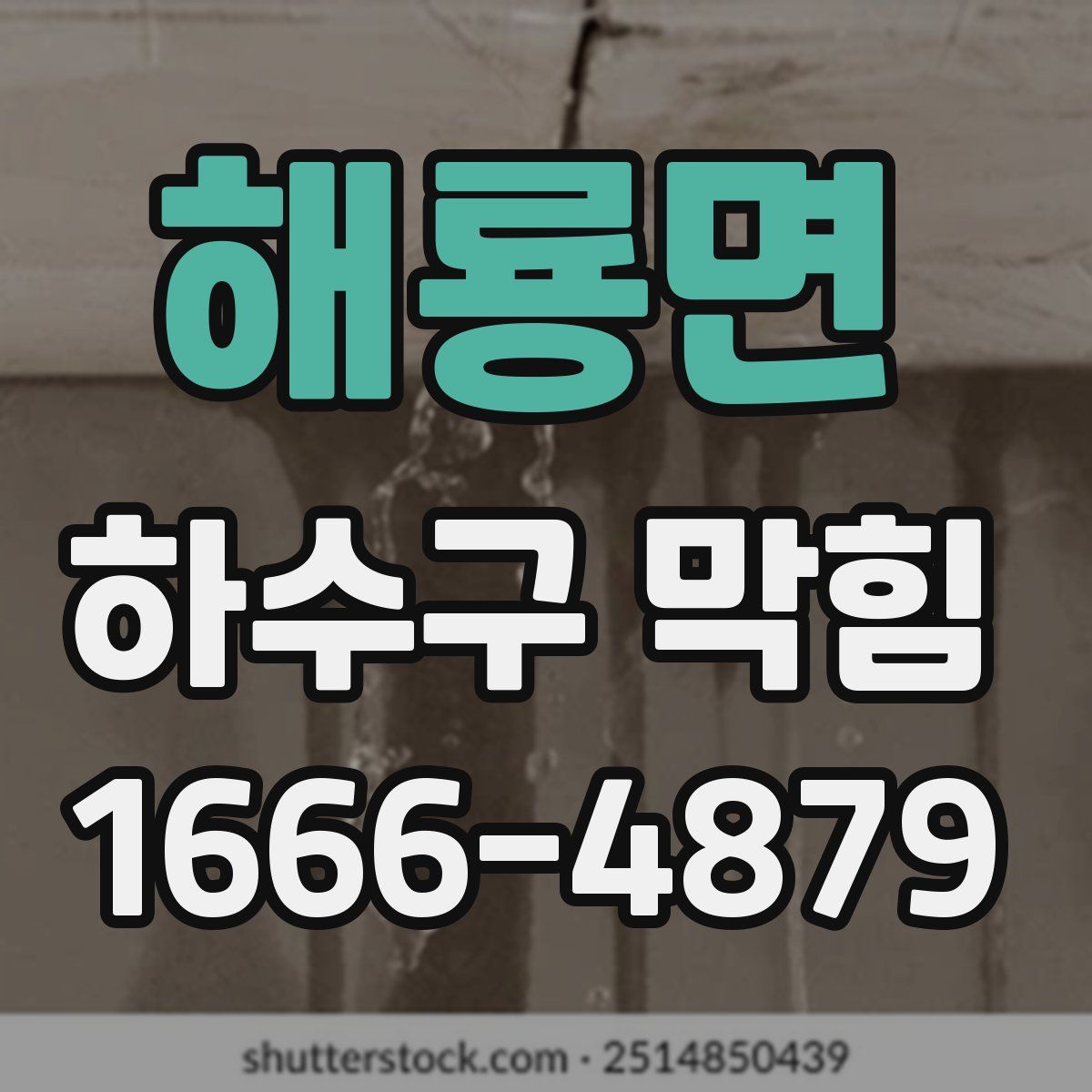 해룡면 하수구 막힘