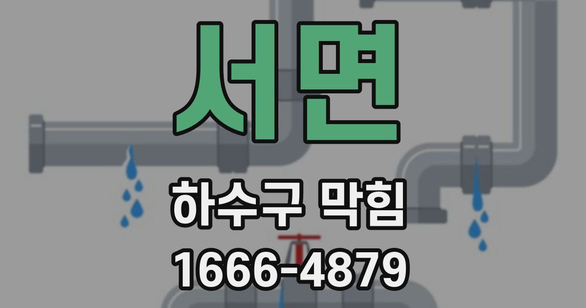 서면 하수구 막힘