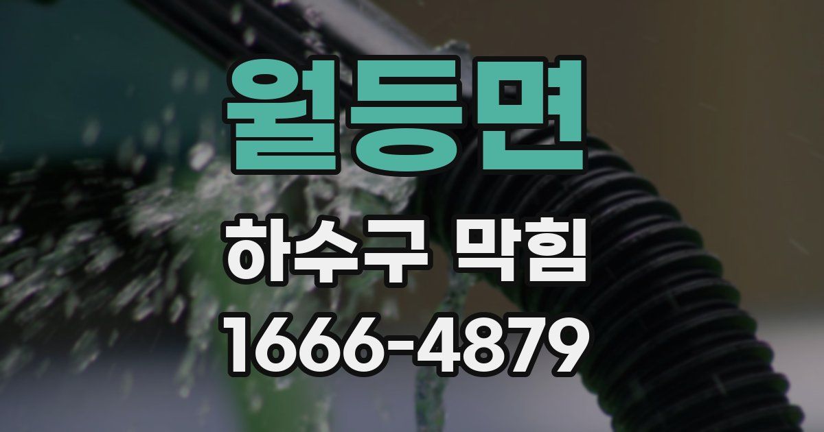 월등면 하수구 막힘