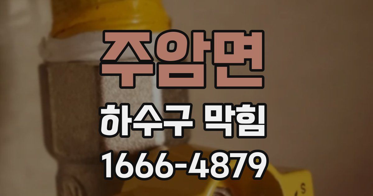 주암면 하수구 막힘