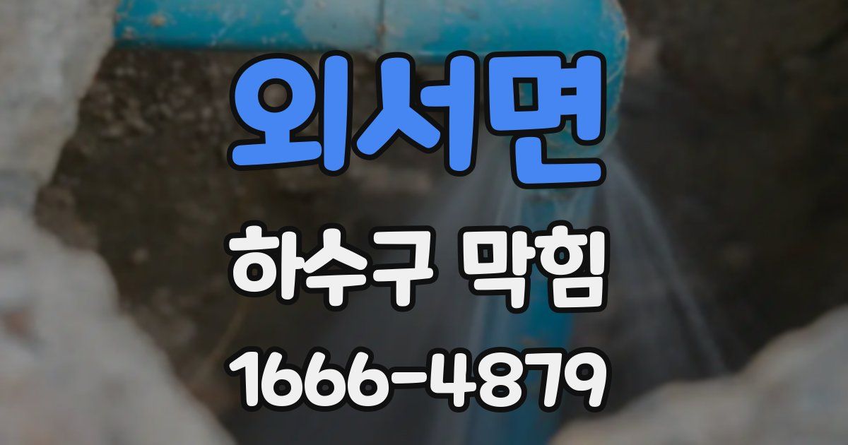 외서면 하수구 막힘