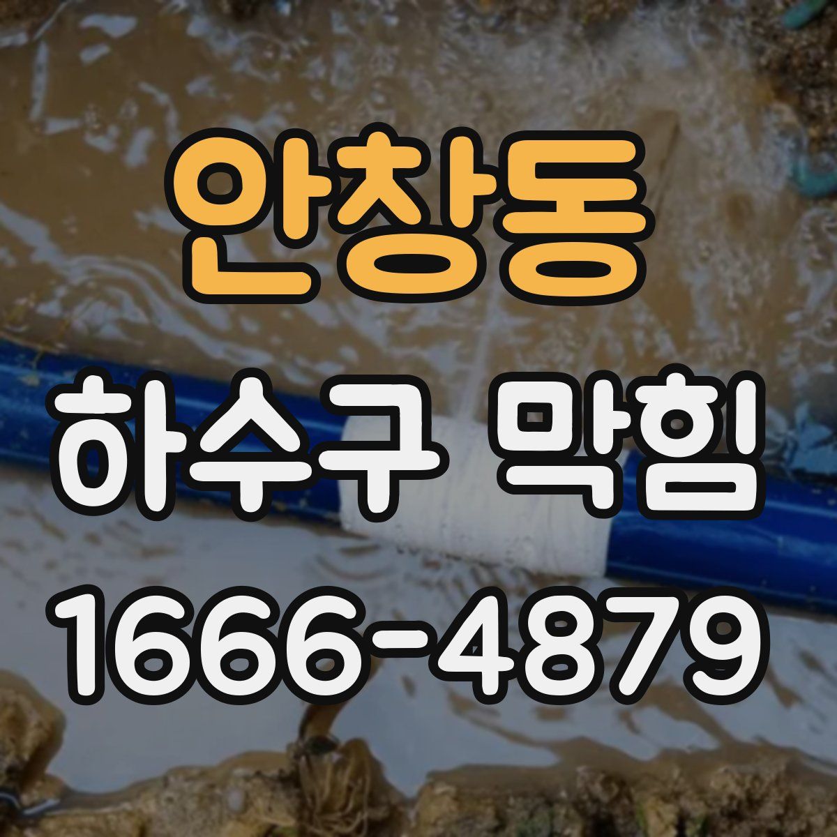 안창동 하수구 막힘