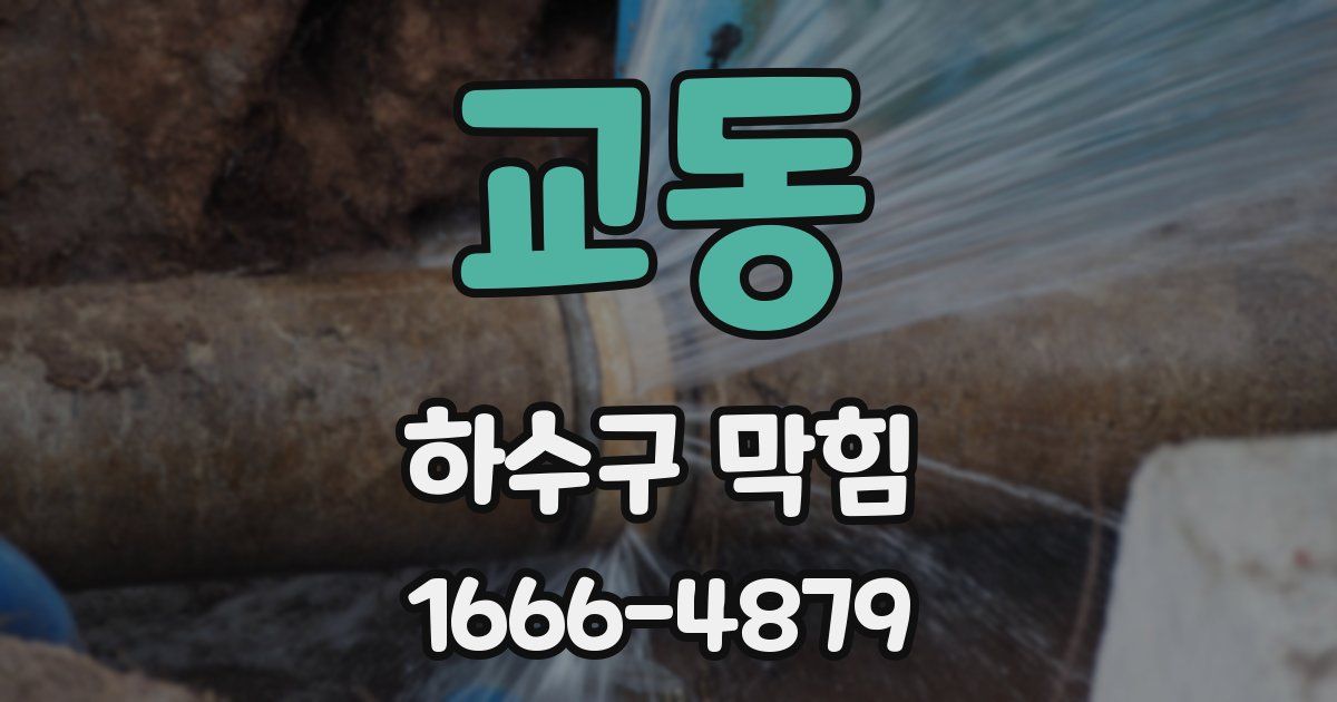 교동 하수구 막힘
