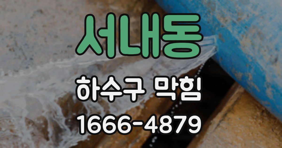 서내동 하수구 막힘