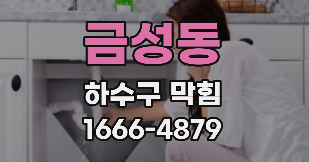 금성동 하수구 막힘