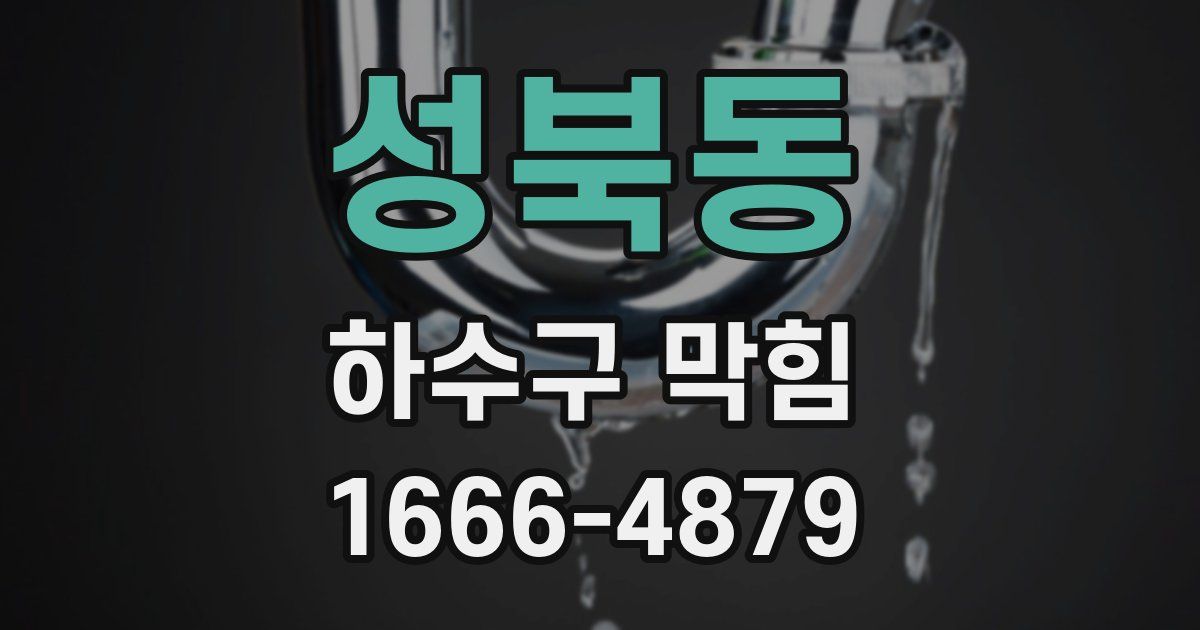 성북동 하수구 막힘