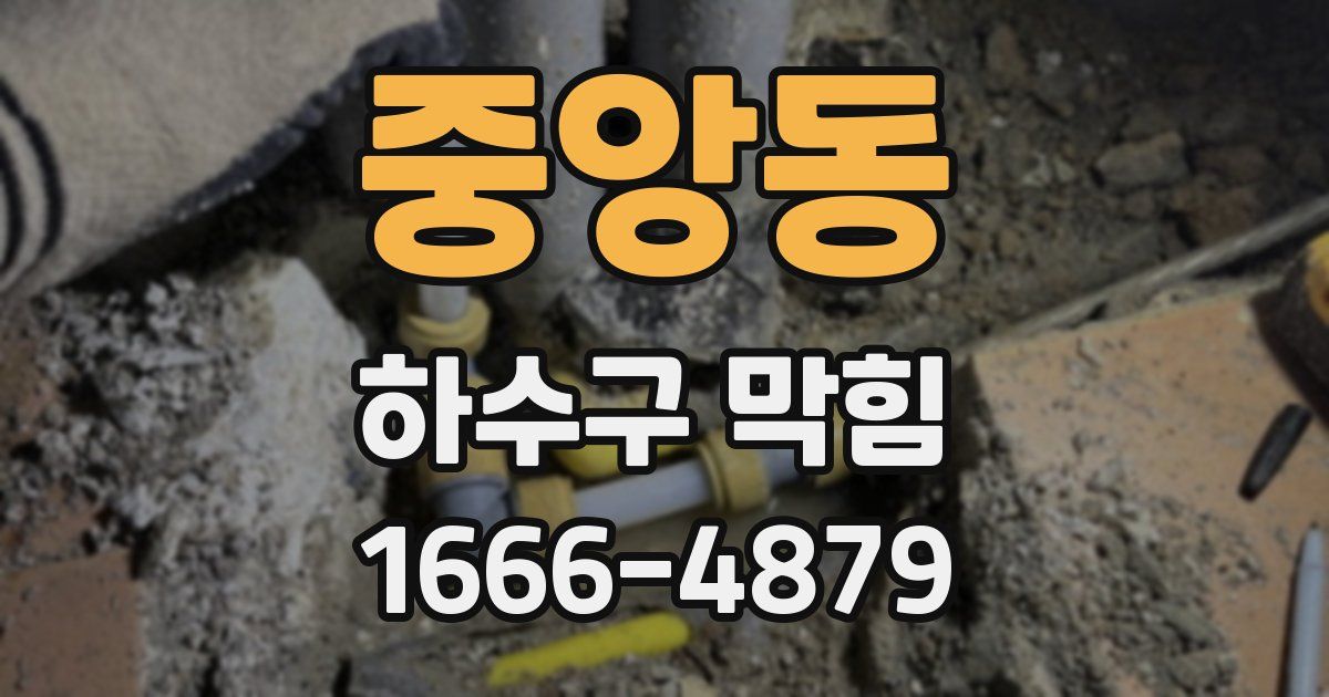중앙동 하수구 막힘