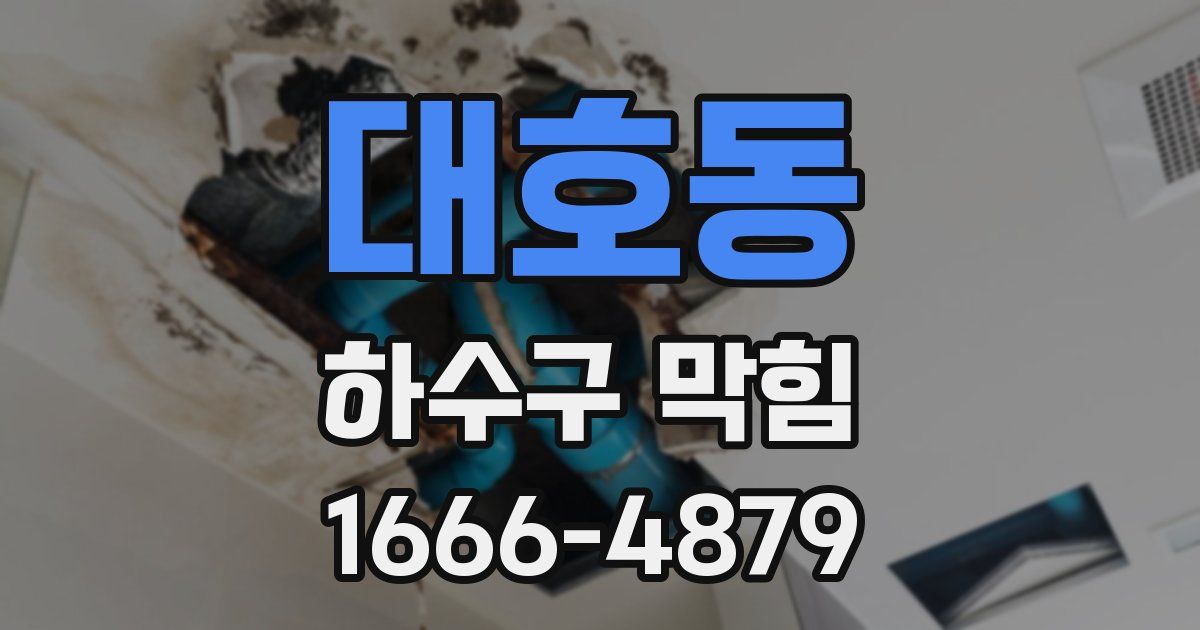 대호동 하수구 막힘