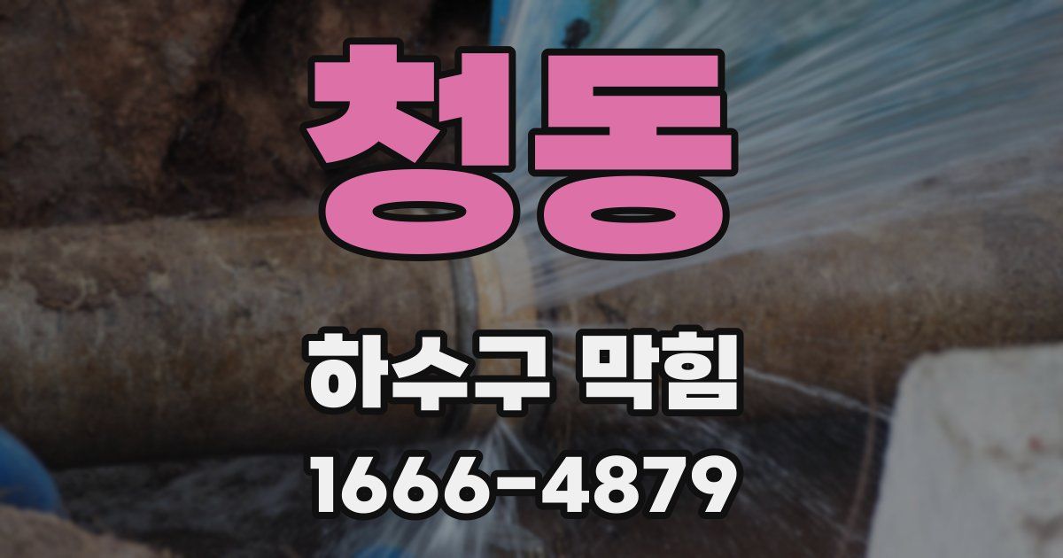 청동 하수구 막힘