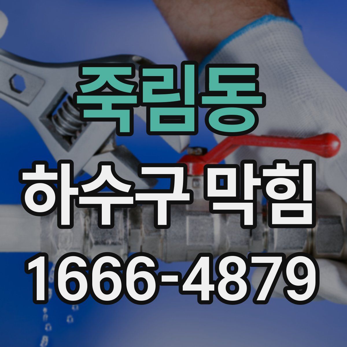 죽림동 하수구 막힘