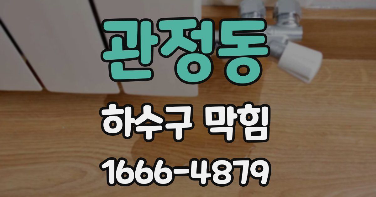 관정동 하수구 막힘