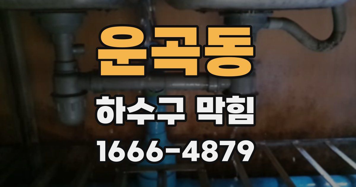 운곡동 하수구 막힘