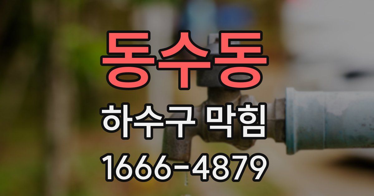 동수동 하수구 막힘