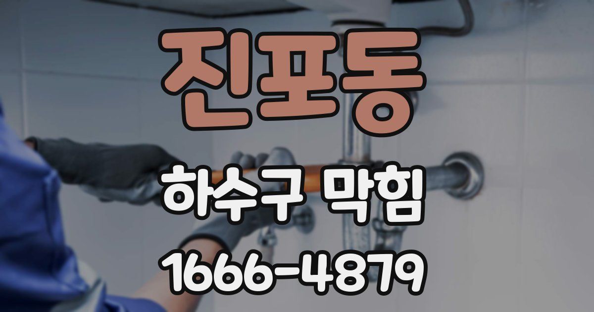 진포동 하수구 막힘