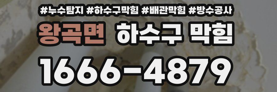 왕곡면 하수구 막힘