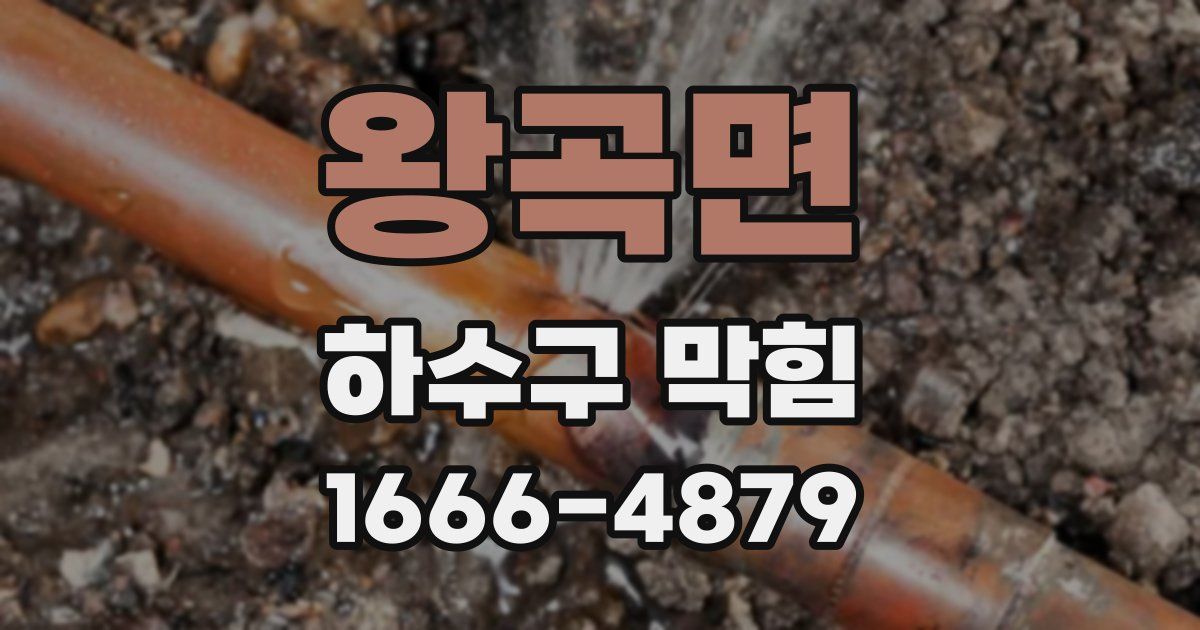 왕곡면 하수구 막힘