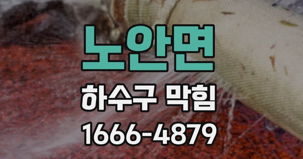 노안면 하수구 막힘