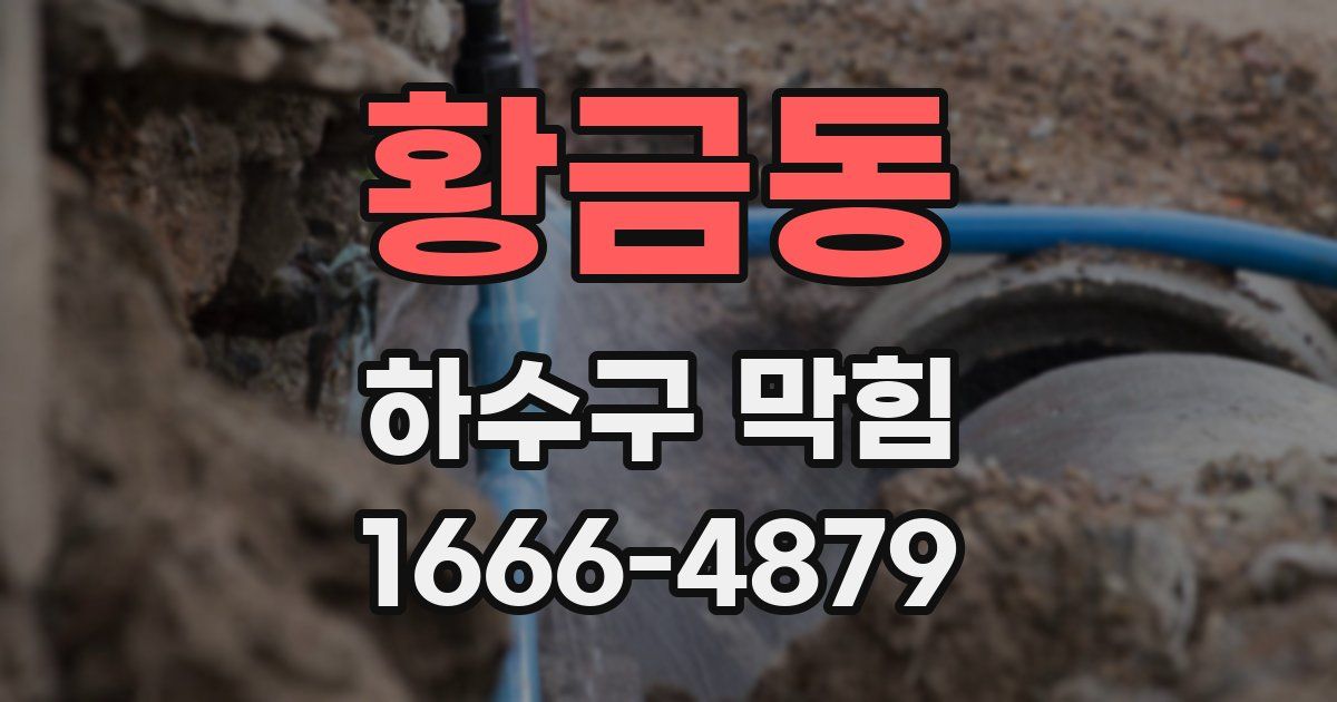 황금동 하수구 막힘