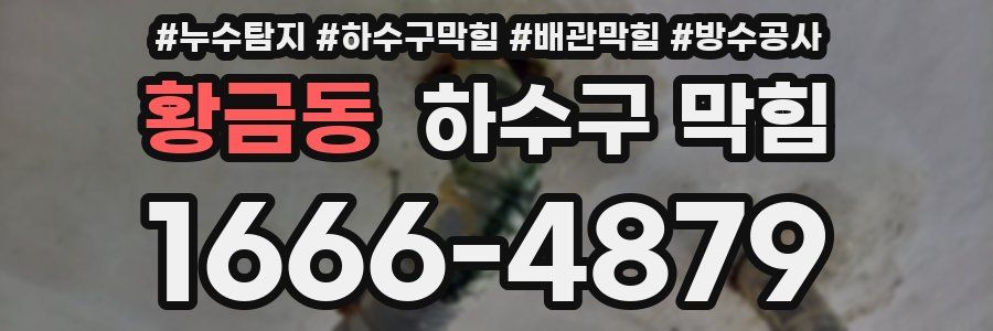 황금동 하수구 막힘