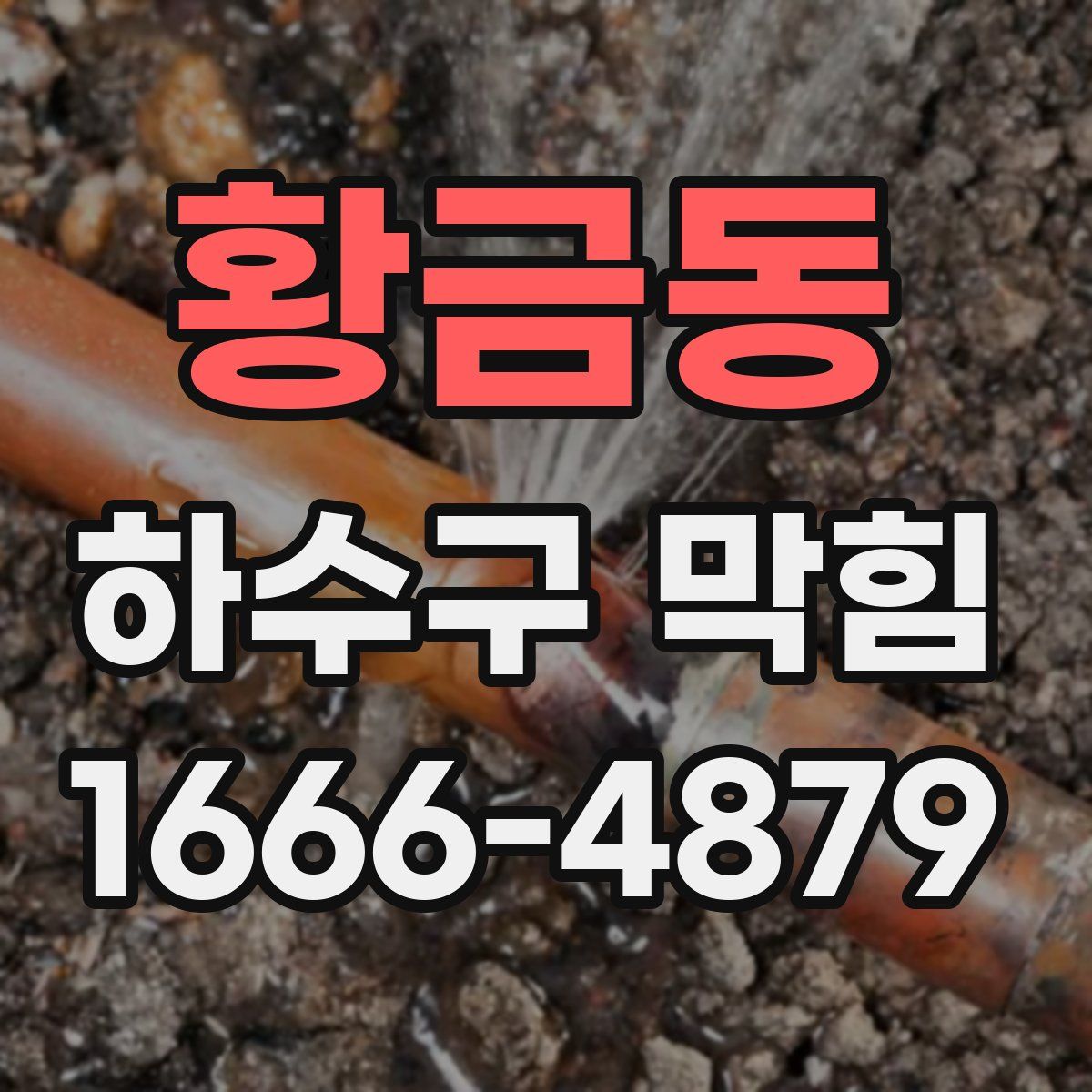 황금동 하수구 막힘