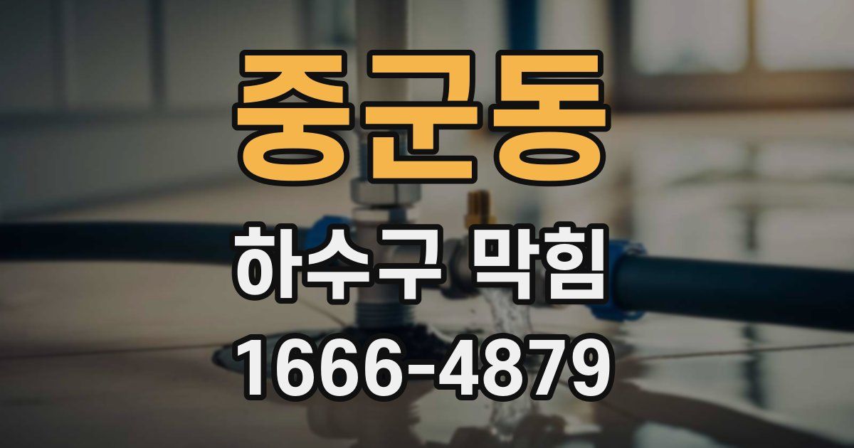 중군동 하수구 막힘