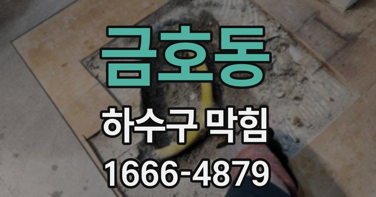 금호동 하수구 막힘