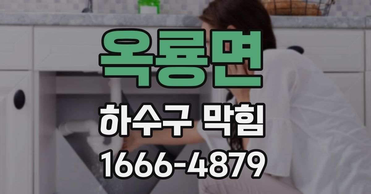 옥룡면 하수구 막힘